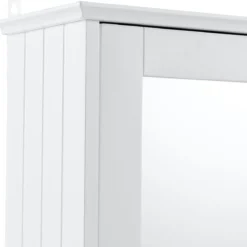 34 x 15 x 53 cm 2 Fächer Badschrank Spiegelschrank Hängeschrank